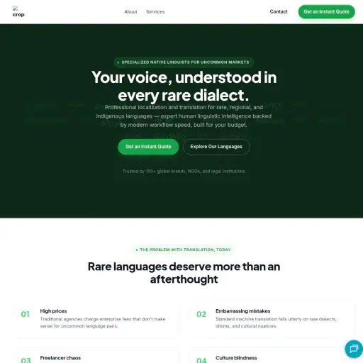 Rare Languages Translation