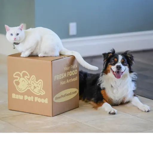 rawpetfood.com