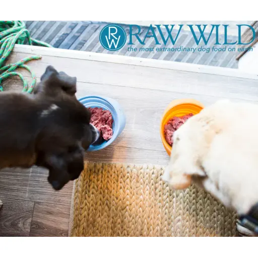 Raw Wild