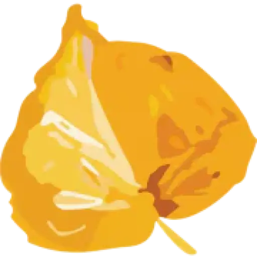 RECOLORADO