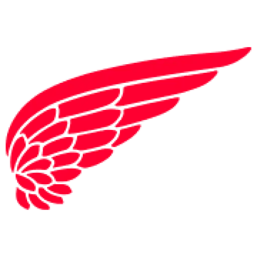 Red Wing Shoe
