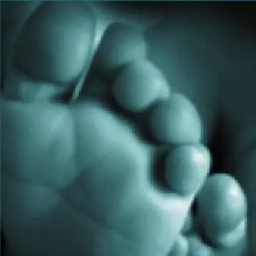 Reflexologyinsussex