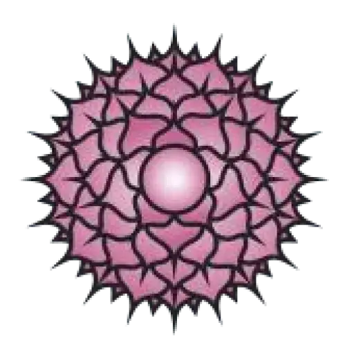 Reiki Dome