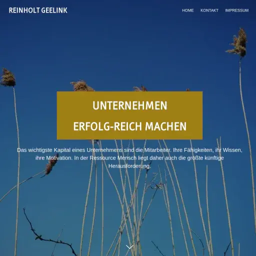 Reinholt Geelink Consultancy & Coaching