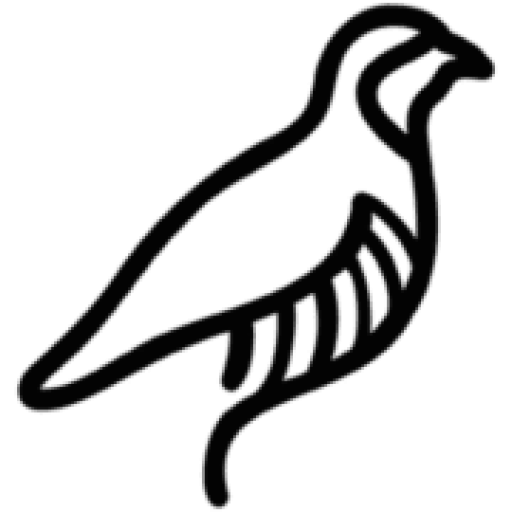 RepStack