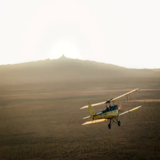 Roar Africa