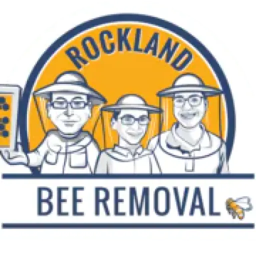 Rockland Bee Removal