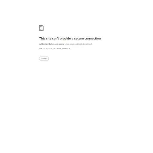 Rotterdam Lot Cleaners LLC