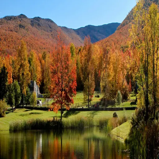 runamokmaple.com