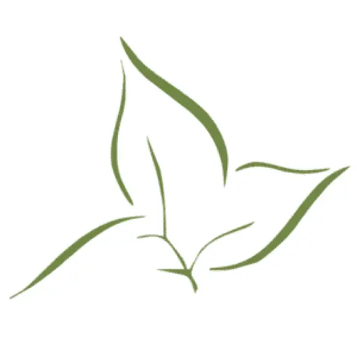 Saatwika Ayurveda Treatment Centre