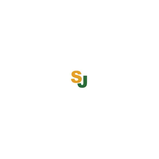 Sac Junk