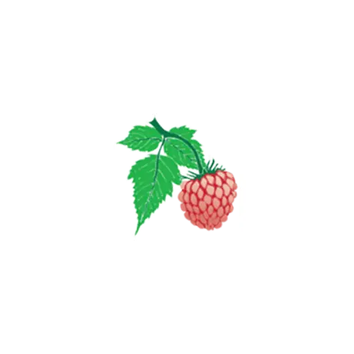Salmon Berry Tours