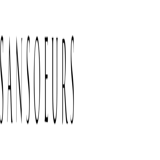 sansoeurs.com