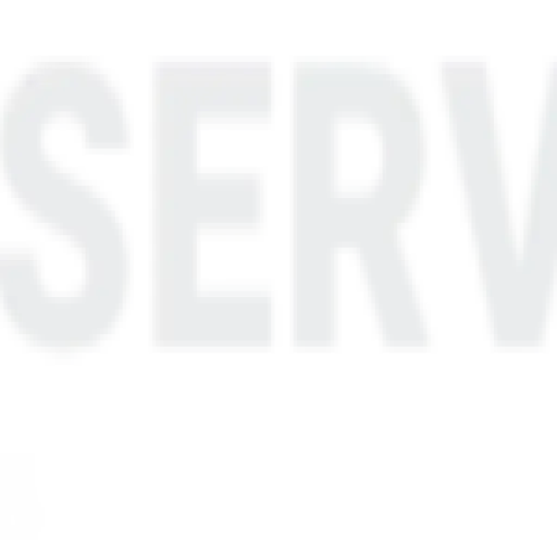 Savaserver