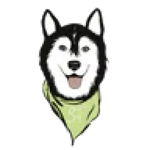 scarfandtail.com