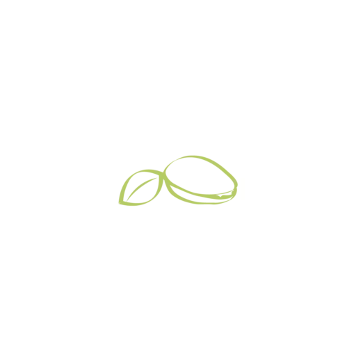 Sciara pistacchio