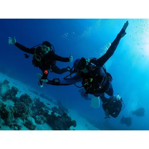 Seasecretdiving