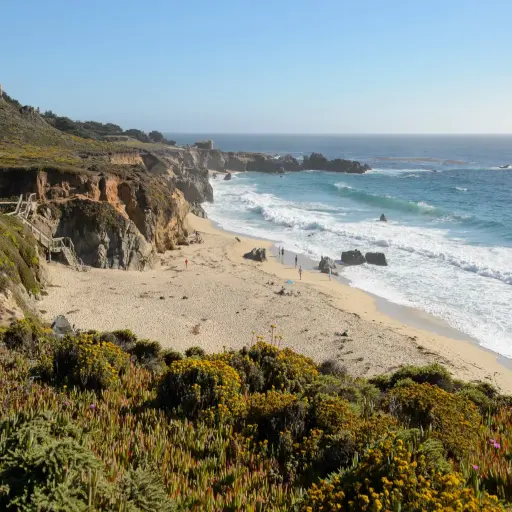 Monterey County Convention and Visitors Bureau