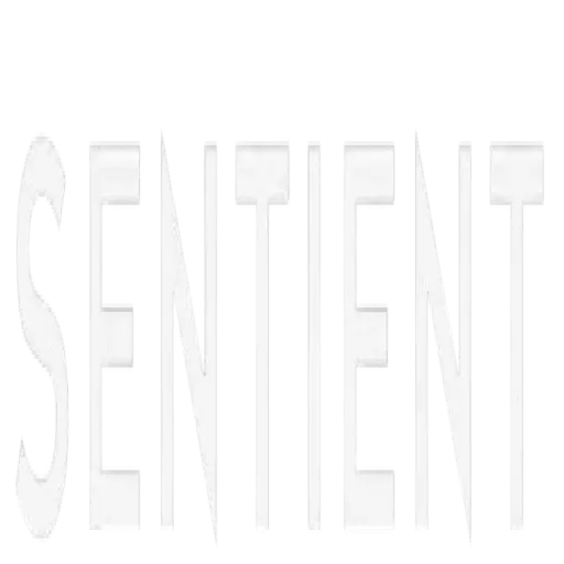 sentientsolutions.io
