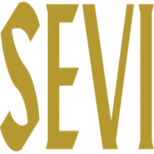 sevigin.it