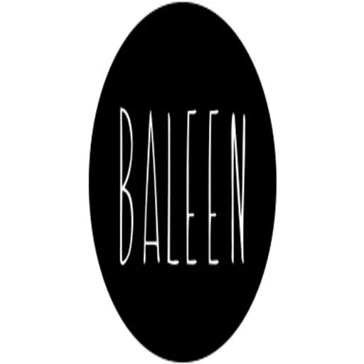 shopbaleen.com