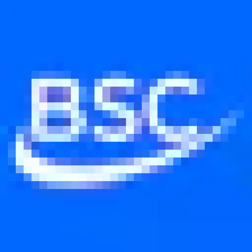 Business Systems Connection - BizSysCon