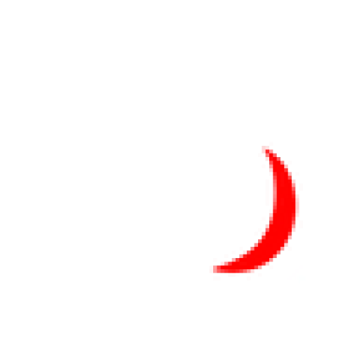 Shringhaar