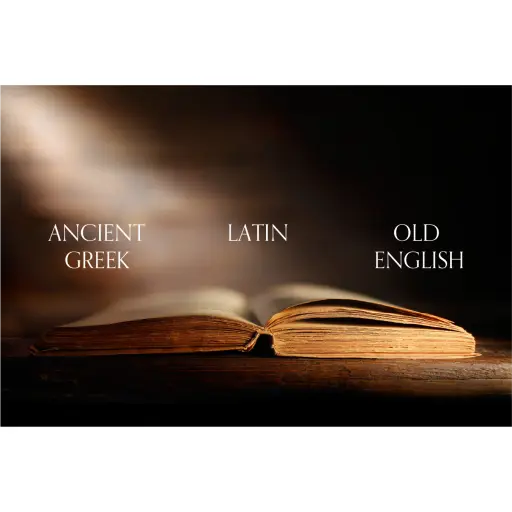 Signa Translations
