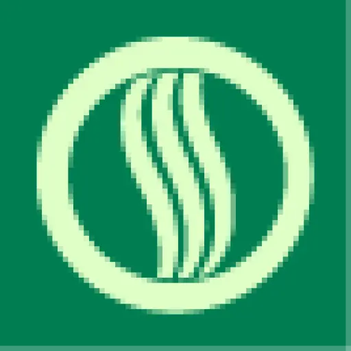 Siliciumg5