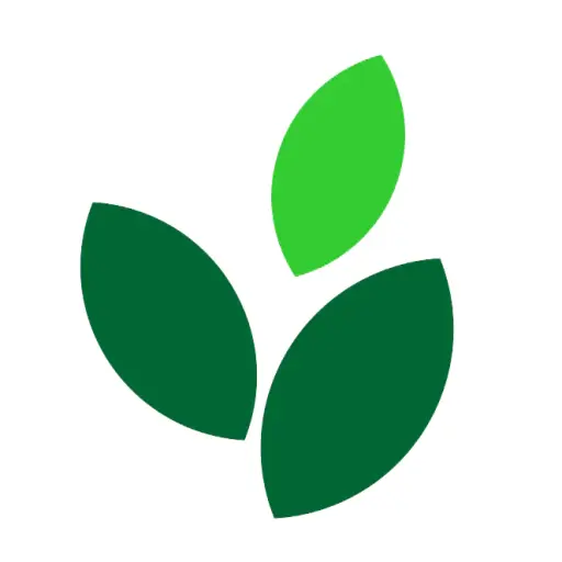 silvafurniture.com