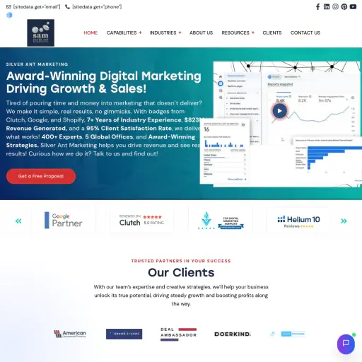 Silver Ant Marketing