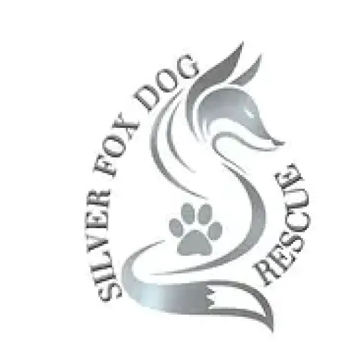 Silverfoxdogrescue
