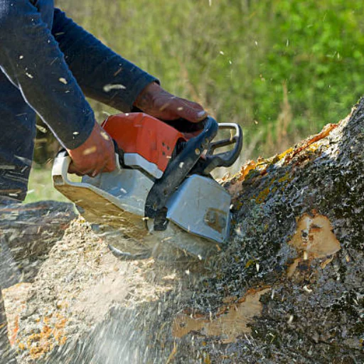 Simon’s Tree Service LLC