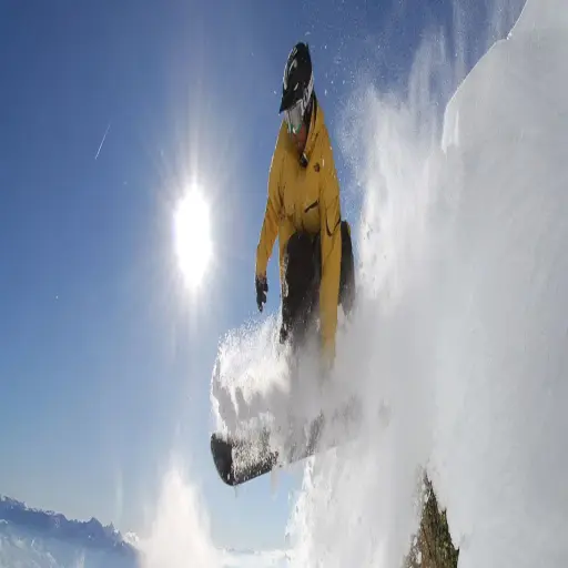 SkiTDS