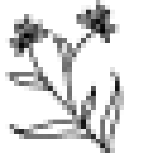 Slaraa