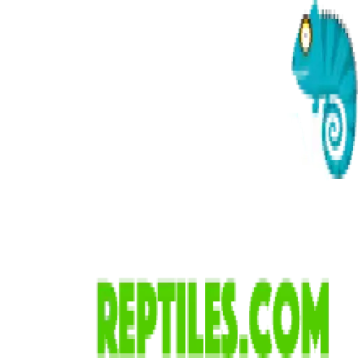 Slitherinreptiles