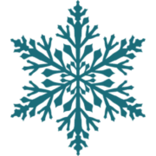 Snowflake Limousine