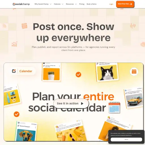 Social Champ