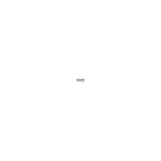 SOJOS VISION