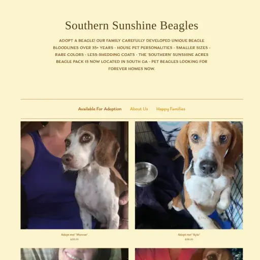 Southernsunshinebeagles