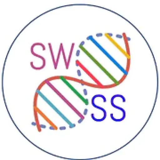 Southwestscienceschool