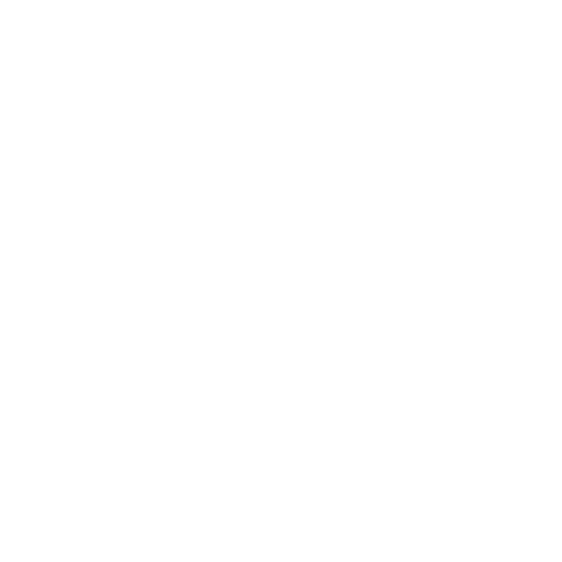 Speedymags