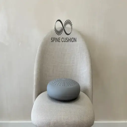 Spinecushion