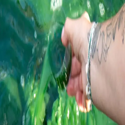 Spiruline des îles d'or