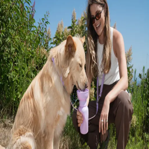 Springerpets