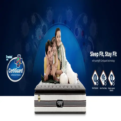 Springfit Mattress