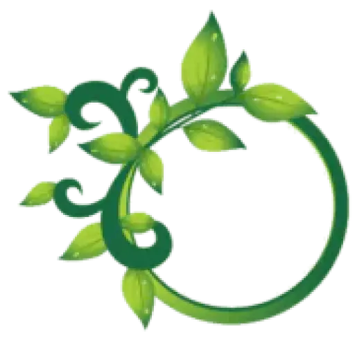 Springleafsolutions