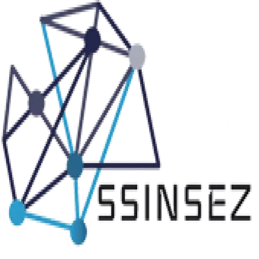 SSINSEZ | Web Agency