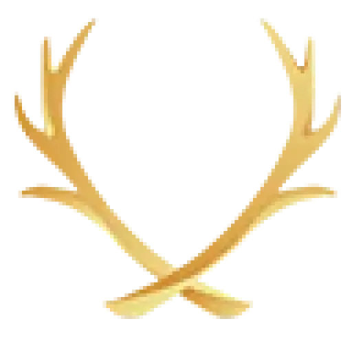 Staghead Designs