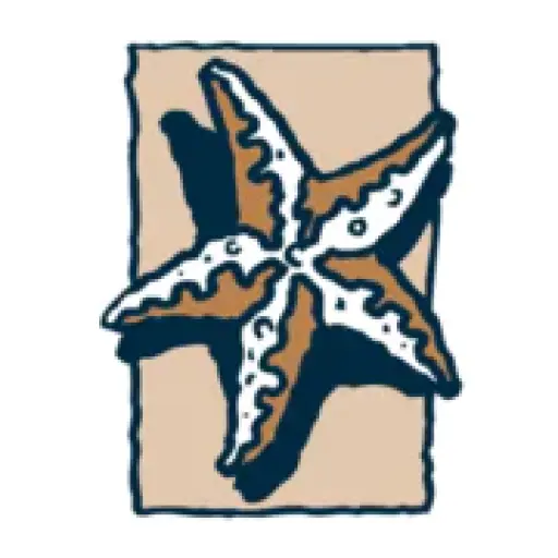 Star Team Real Estate